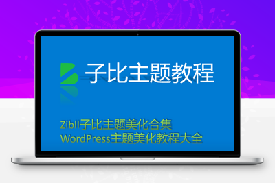 Zibll子比主题美化合集教程-WordPress主题美化教程大全-CMS模板